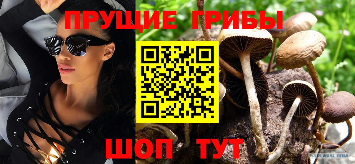 Псилоцибиновые грибы MAGIC MUSHROOMS Назарово